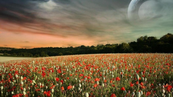 胸大的女孩子有什么烦恼？